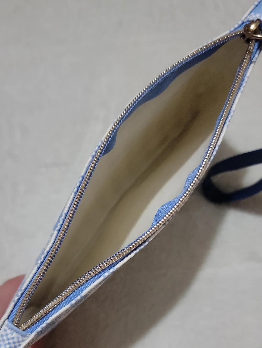 Ipsy Makeup Bag